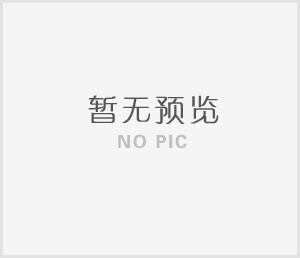 程力集團總經理程阿羅出席湖北民營企業100強發布會